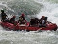 686 674 IMG_2843